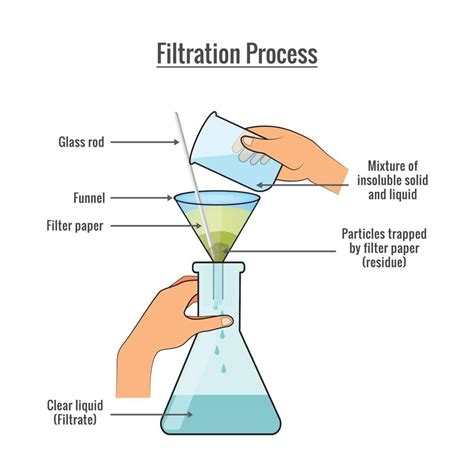 Filtration process of mixture of solid and liquid science experiment vector illustration ...