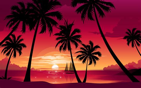 🔥 [42+] Palm Tree Sunset Wallpapers | WallpaperSafari