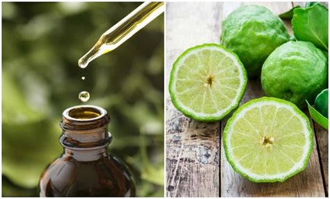 15 Reasons Bergamot Essential Oil Should Be In Every Home