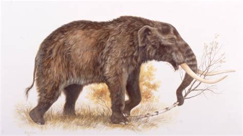 Mastodons Made an Early Exit from the North | CBC Radio