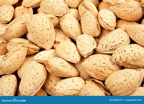 Almond nut stock image. Image of leaves, objects, horizontal - 22624721