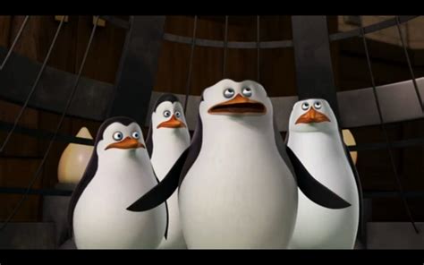 (Again) One of My Favourite Funny Bits - Penguins of Madagascar Photo (30761668) - Fanpop