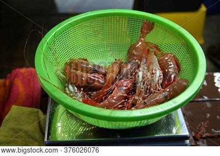 Life Shrimp. Live Image & Photo (Free Trial) | Bigstock