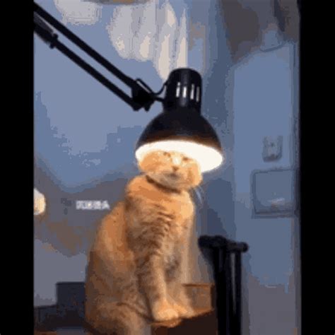 Lamp Light GIF - Lamp Light Bulb - Discover & Share GIFs