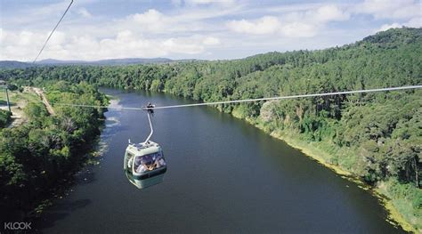 Rainforest Skyrail Cableway Tickets