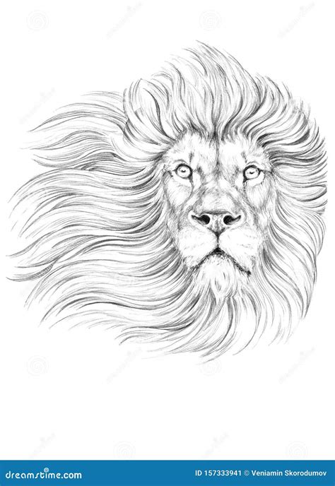 Lion Tattoo Drawing