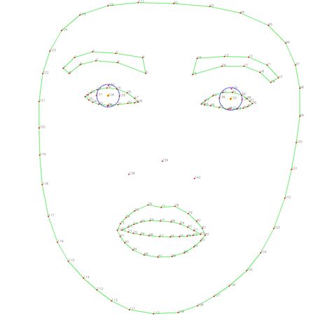 GitHub - k-m-irfan/simplified_mediapipe_face_landmarks: Extracts ...