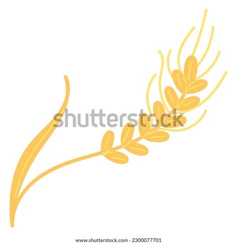 7 Single Oat Plant Poster Images, Stock Photos, 3D objects, & Vectors ...