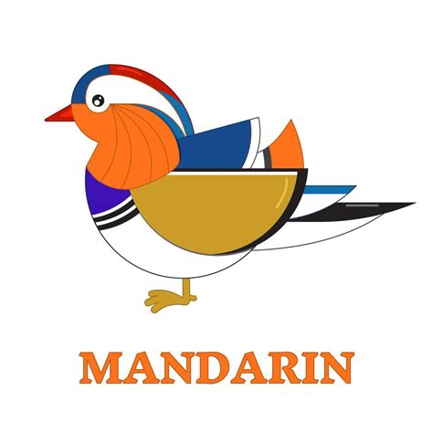Mandarin Duck Geometric Line Icon 5691437 Vector Art at Vecteezy