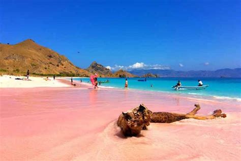 Keunikan Pantai Pink di Pulau Komodo - TRIPONNEWS.com