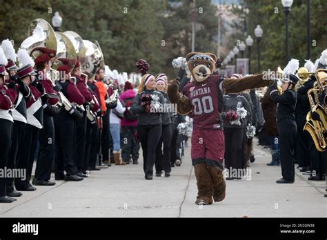 Montana mascot Monte leads the way during Montana's first Griz Walk ...