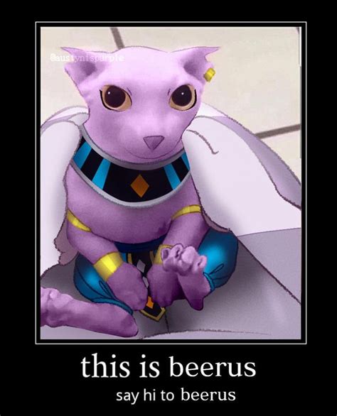 This is beerus say hi to beerus | Bingus | Know Your Meme Haha Meme ...