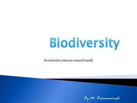 PPT - Biodiversity PowerPoint Presentation, free download - ID:4995001