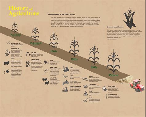 Kelsey Horner - History of Agriculture Infographic