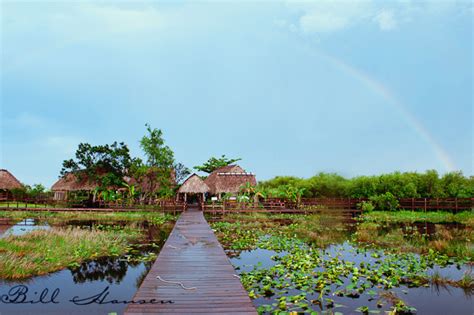 Everglades – Dragonfly Expeditions