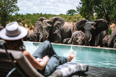 Best Safari Lodges in South Africa | Drink Tea & Travel