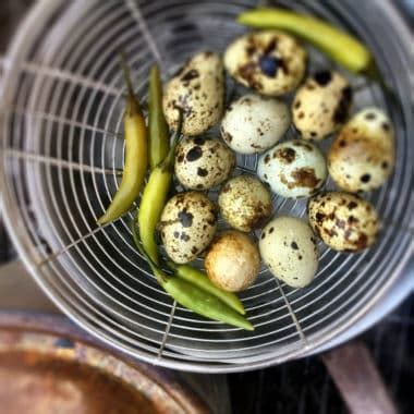 Pickled Quail Eggs | Bush Cooking