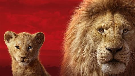 1364x768px | free download | HD wallpaper: Movie, The Lion King (2019 ...