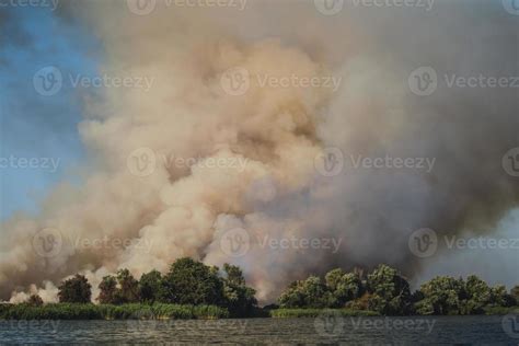 Large clouds of smoke, fire in nature. 4828489 Stock Photo at Vecteezy