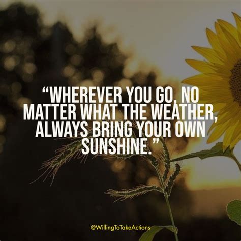 147+ {Best} Sunshine Quotes- Sunny Day Quotes & Sunlight Quotes in 2021 | Sunny day quotes ...