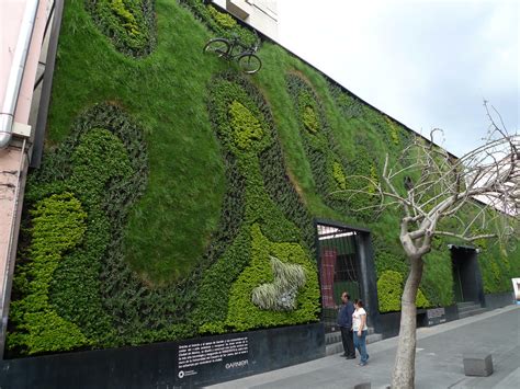 Mexico City Green Wall | Mark Hogan | Flickr