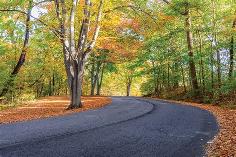 Let's Hike: Cherokee Park Scenic Loop | Today's Transitions