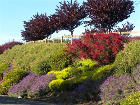 Hillside Landscaping with Retaining Walls | Details Landscape Art