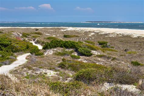 View of the Beach at Fort Macon State Park, North Carolina Stock Image ...