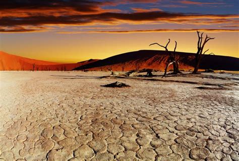 Namib Desert Facts & Information, Map, Climate, Animals - Travel Guide