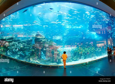 Dubai Mall Aquarium