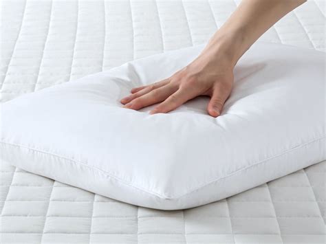 Classic Down/Feather Pillow - 2PC Set – Cozyoneshop.com