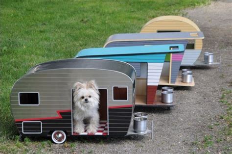 The CaravanTimes guide to the top 10 best dog-friendly caravan sites