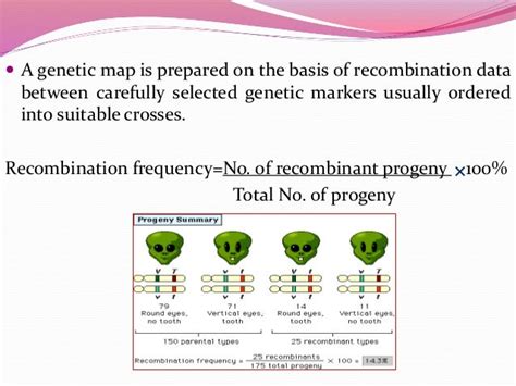 Genome mapping