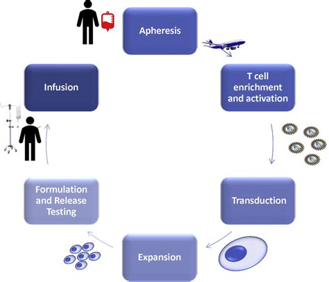 CAR T-cell manufacturing process. | Download Scientific Diagram