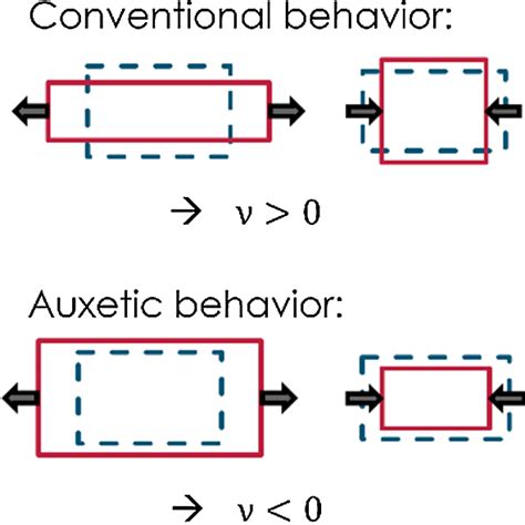 Conventional versus auxetic materials | Download Scientific Diagram