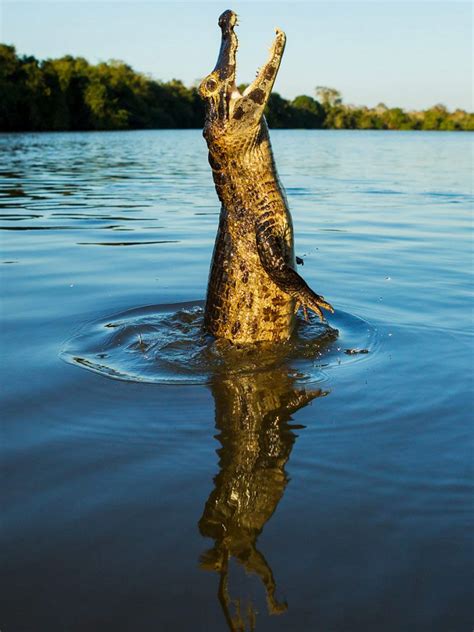 Yasuni National Park Paddling Tour, Ecuador | 10Adventures