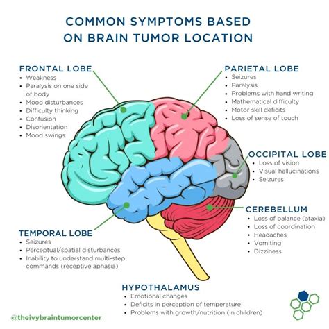 Brain Tumor Patient and Caregiver Guide