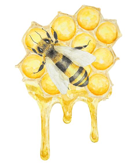 Premium Photo | Watercolor hand drawn bee isolated on white background