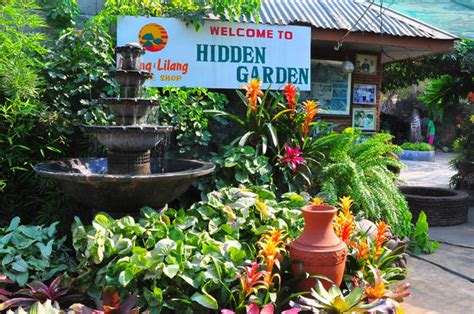 Hidden Garden of Vigan Ilocos Sur ~ Dream! Explore! Discover!