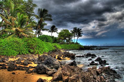 Download Cloud Tropics Palm Tree Seashore Tropical Nature Island HD Wallpaper