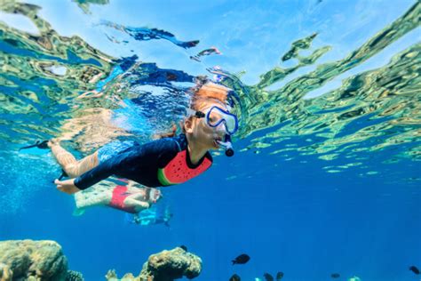 Snorkelling the Great Barrier Reef - Why You Can't Beat Fitzroy Island - Fitzroy Island