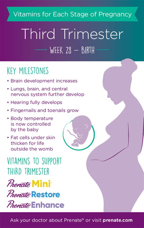 Prenatal Vitamins for Each Stage of Pregnancy: Third Trimester - Months ...