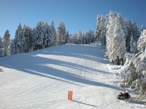 Alta Sierra at Shirley Meadows • Ski Holiday • Reviews • Skiing