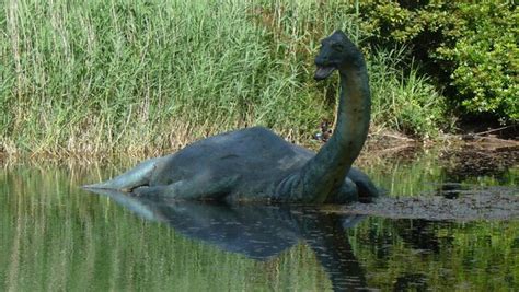 Nessie - 8 Facts About Loch Ness' Most Elusive Resident