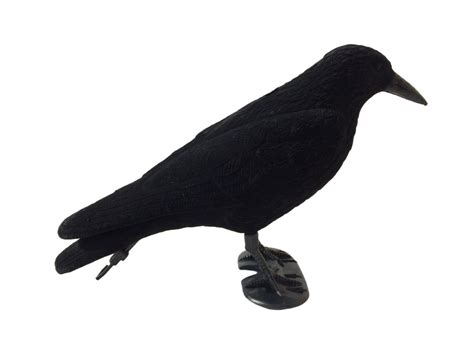 Whole Body Flocked Crow Decoys - A1 Decoy