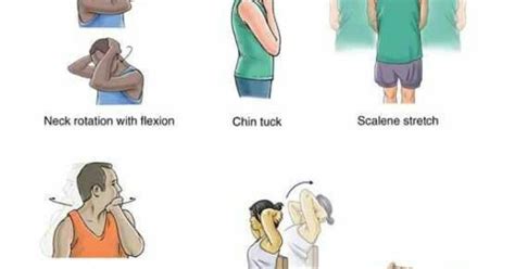 Neck spasm rehab | Physical Therapy | Pinterest | Neck spasms, Exercises and Physical therapy