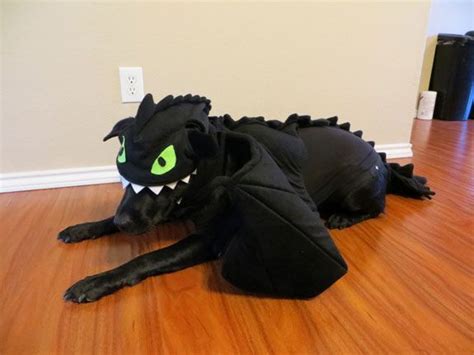 Toothless Dragon Dog Costume