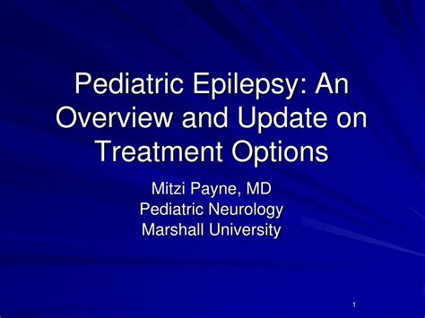 PPT - Pediatric Epilepsy: An Overview and Update on Treatment Options ...