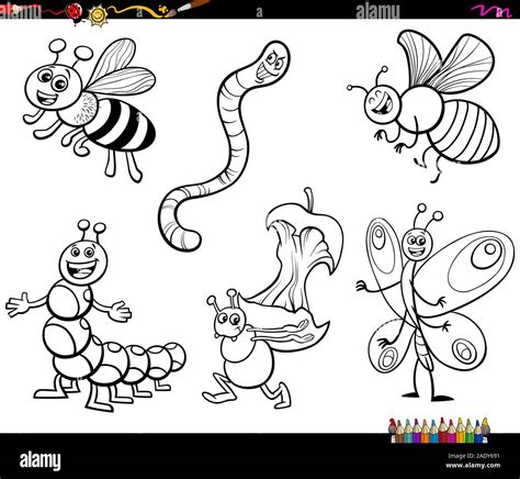 Black and White Cartoon Illustration of Funny Insects Animal Characters ...