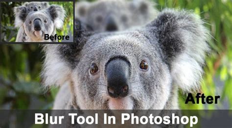 Blur Tool in Photoshop | Guide to How to Use Blur Tool In Photoshop?